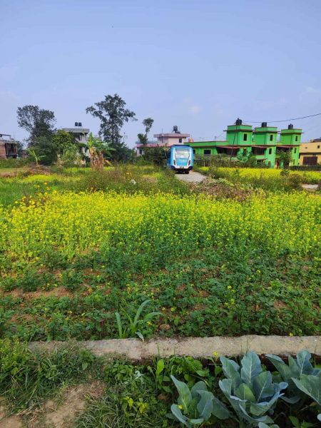 Land in Bhatkepati Kirtipur