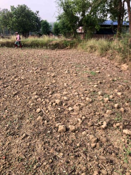 Land is sale in BUTWOL( Rupandehi district). 1 kattha 14 dhoor. Land is sale in BUTWOL( Rupandehi district). 1 kattha 14 dhoor.