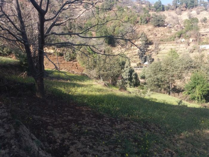 Land for sale in kathmandu