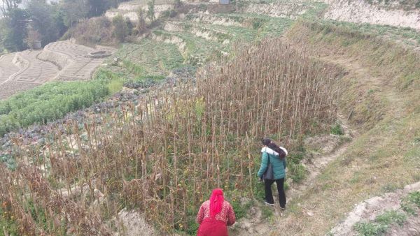 7 ANA JAGGA ON SALE IN BANEPA NALA