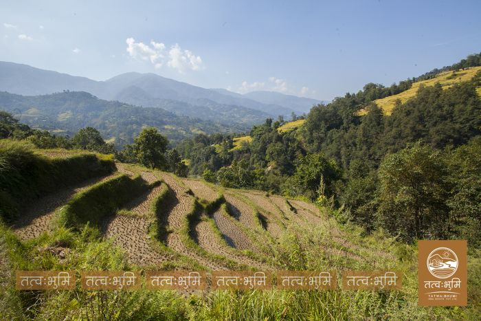 6 Ropani land on Sale at Mulabari, Nuwakot.