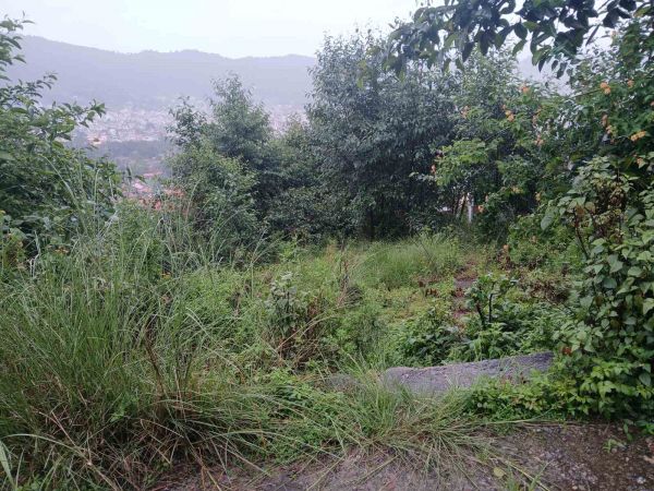 Land on Sale in Budhanilkantha Bisnu Height