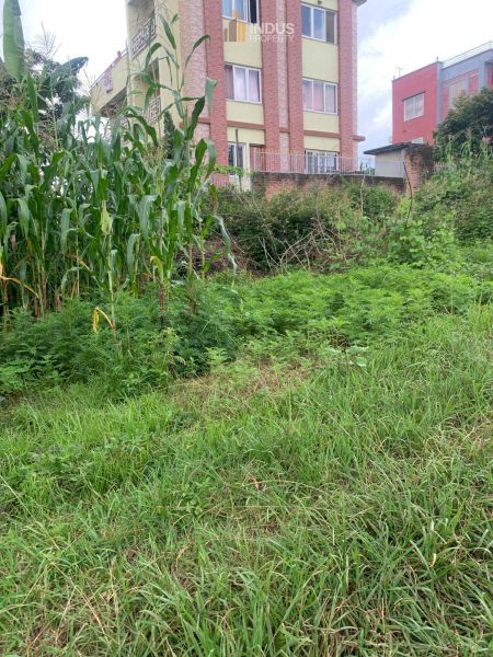 Land on sale at Dhapakhel, Lalitpur