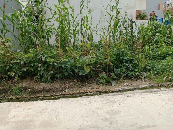 Land on Sale- Changathali, Lalitpur