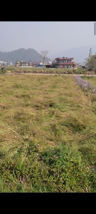 Land sale Mohoria chowk