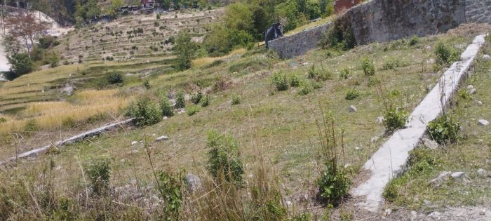 6.1 aana land on sale at badeli budhanilkantha