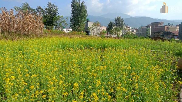 Land On Sale at Balkot, Bhaktapur
