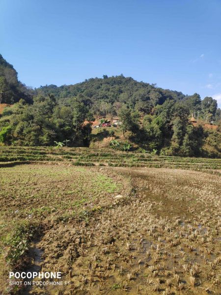 Fertile Land for Rent