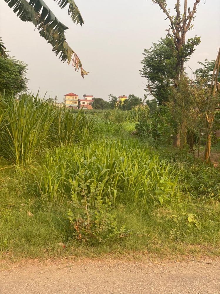 Land for sale in Ratnanagar  12 Chitwan