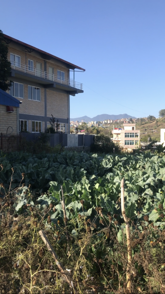 Land (plus house) for Sale