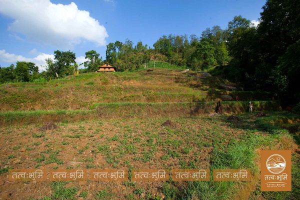 8 Ropani land for saie at Mathbhanjyag nuwakot.