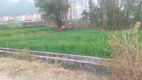 14 aana land on sale at Lamatar Lalitpur