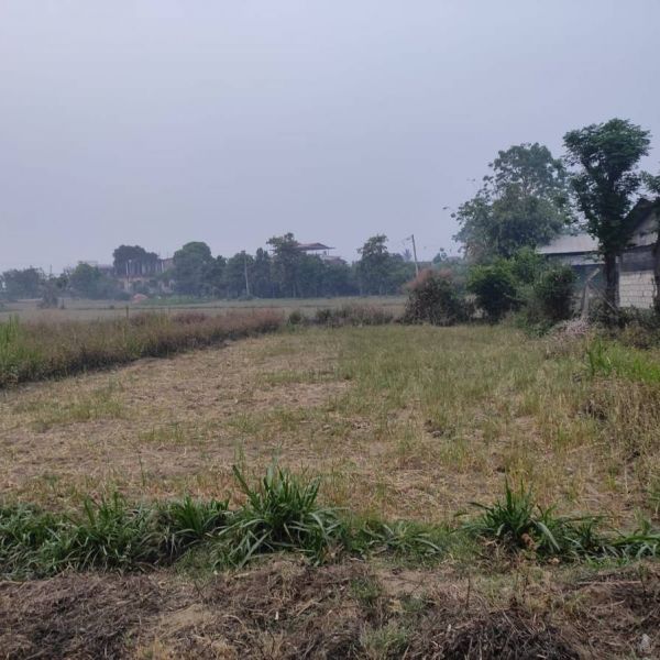 Land on sell 