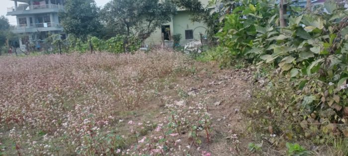 Land for Sale Near Valmiki School.