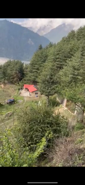 Farm house and farmland 