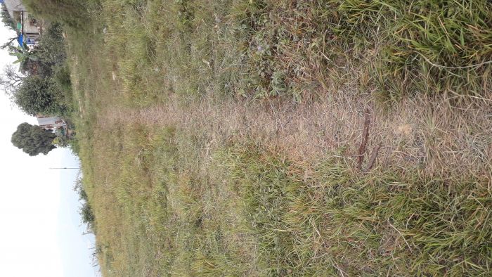 Land for sale at dhulikhel @ 6.5lakh per aana