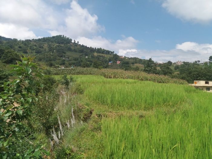 Land for sale in kathmandu