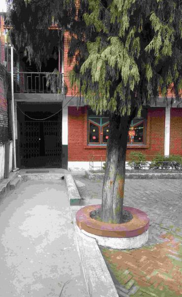 Kuleshwor Land 13 Anna on Sale with House at Cheap Price for Investment