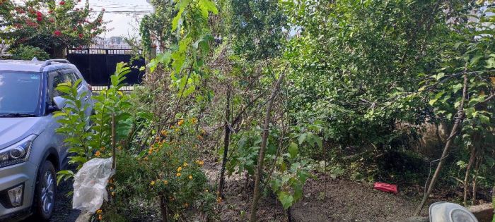 House on sale in budanilkantha