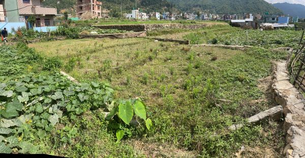 Emergency sale due to bank lone within a month