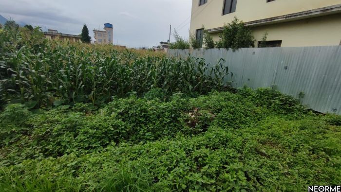 Beautiful Land for sale at Nakhipot , Near oasis school paxadi,1km meter inside dolahitii road.