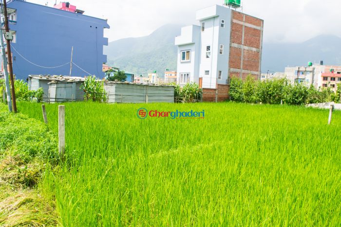 10 anaa 2 paisa ghaderi land for sale in Kirtipur Kathmandu