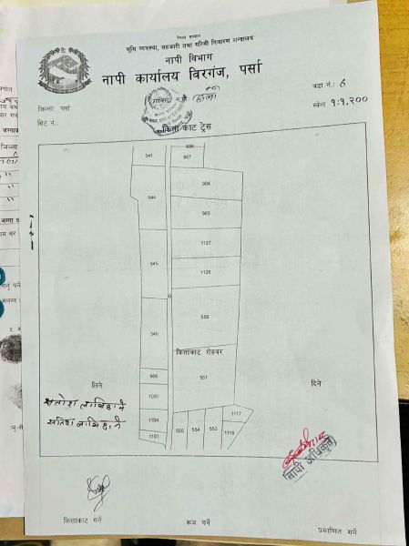 Land for Sale – Near ICP Road, Alau, Birgunj