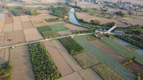 Commercial Land for Sale in Ratnanagar, Chitwan - Prime Investment Opportunity