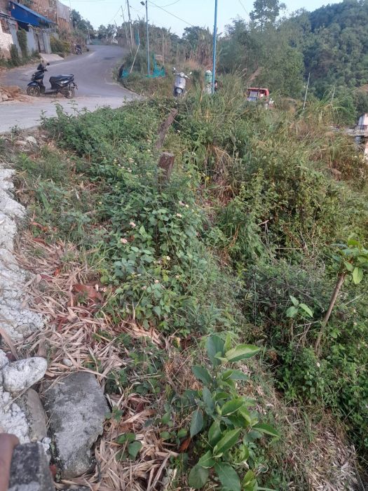 Land In sale in pokhara