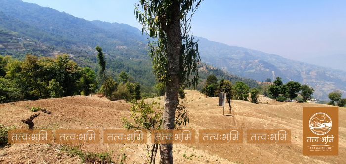 9 Ropani Land On Sale at KhariBhanjyang , Nuwakot