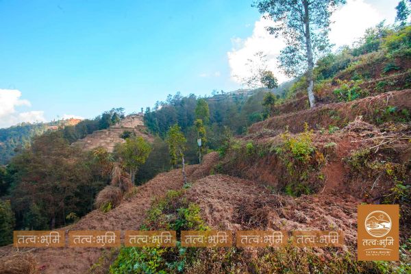 6 Ropani Land On Sale at KhariBhanjyang , Nuwakot.