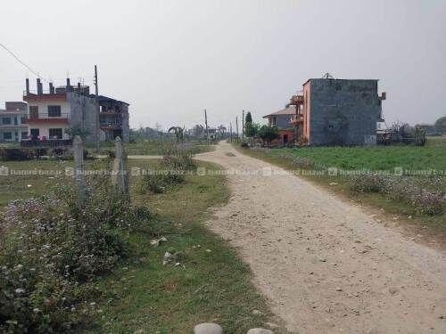 Ekdum sasto ma Mangalpur Chitwan ko jugga bikrima