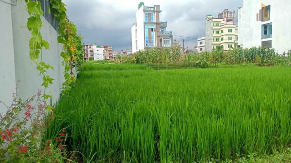 Land On Sale at Bode, Bhaktapur