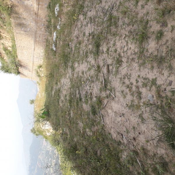 Semi commercial land for sale at Khawa kavrepalanchowk