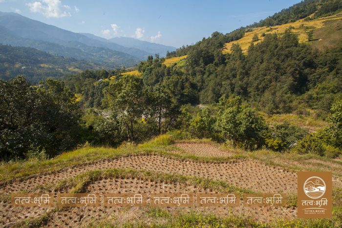 6 Ropani land on Sale at Mulabari, Nuwakot.