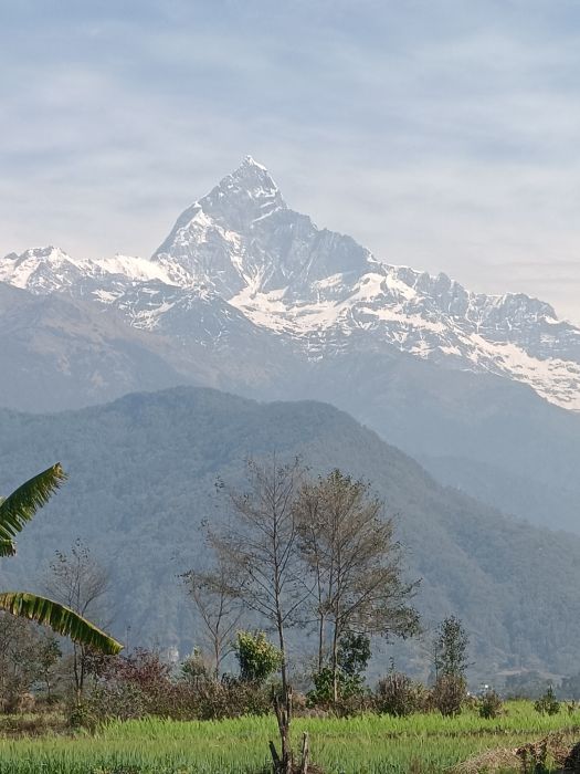 Land sale Pokhara 19