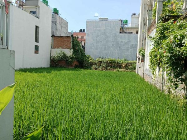 Land On Sale at Ocho Height Imadol, Lalitpur