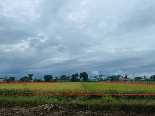 Land with house sell