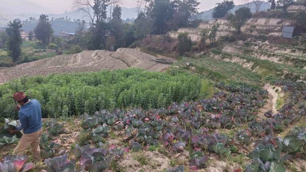 7 ANA JAGGA ON SALE IN BANEPA NALA