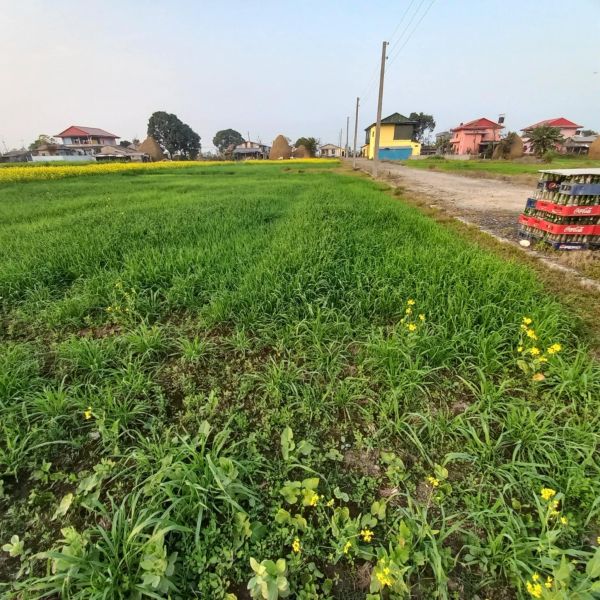 1 katha land for sale in Gitanagar Bharatpur