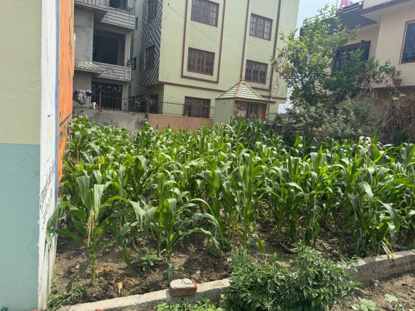 Land for sale in Thimi, Bhaktapur