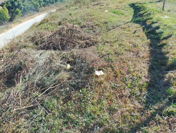 22 Lakh/Anna . total land 4 Anna.lubu ko last ma lamatar starting ma.