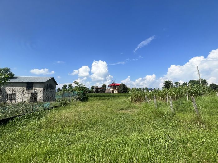 12.5 DHUR LAND ON SALE IN GEETANAGAR, BHARATPUR