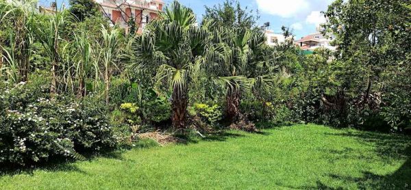 36 Anna Land with House