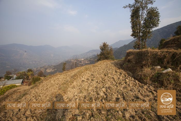 6 Ropani land on sale at Narayanthan - Nuwakot