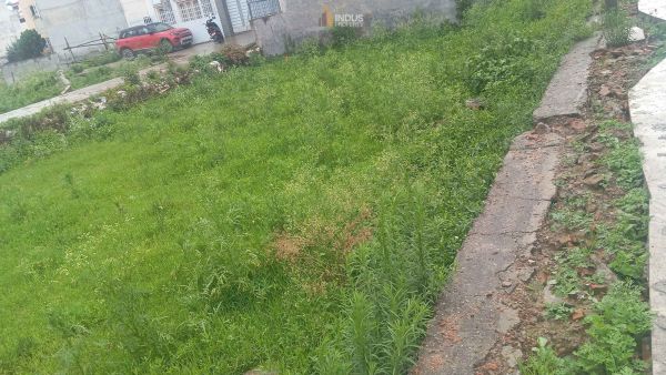 Commercial Land on Sale at Imadol