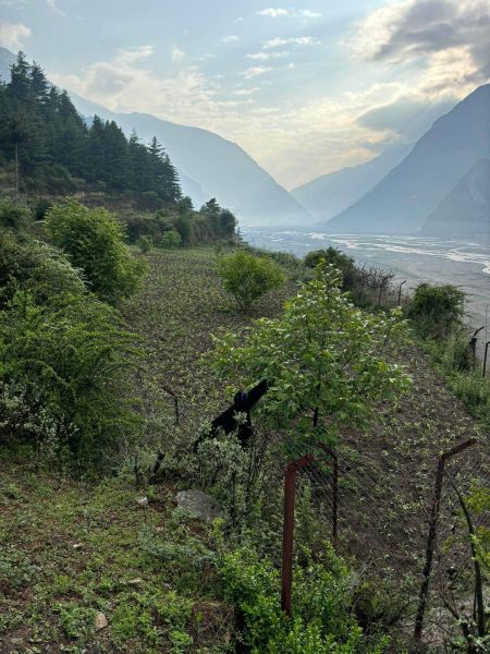 Farm house and farmland 