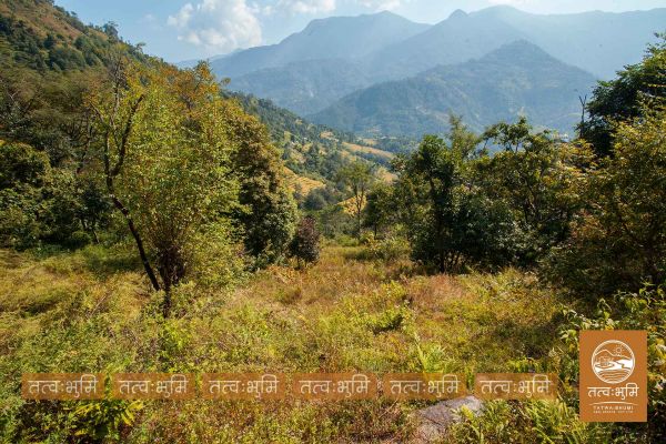 16 Ropani land for sale in Kalleri - Nuwakot.