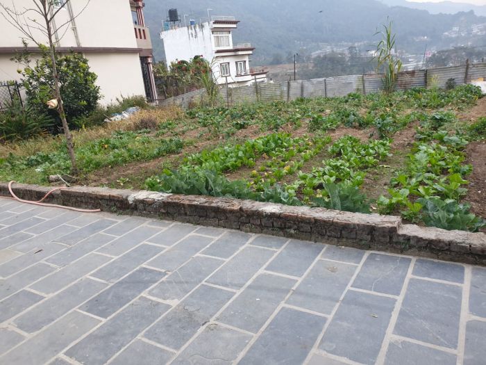 Land for sale in Tokha-2