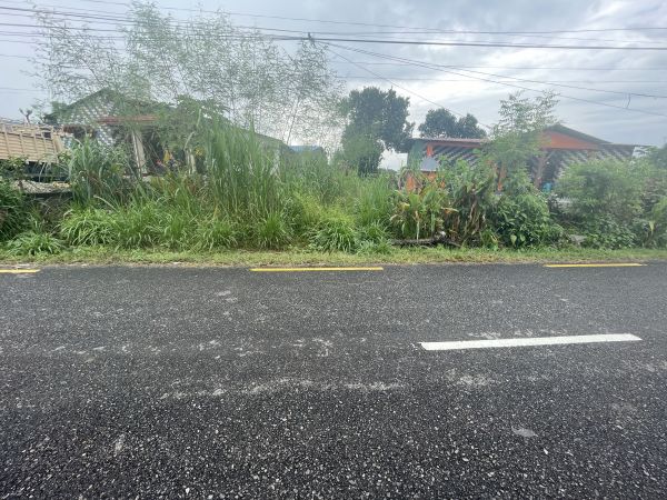 Land with house sell